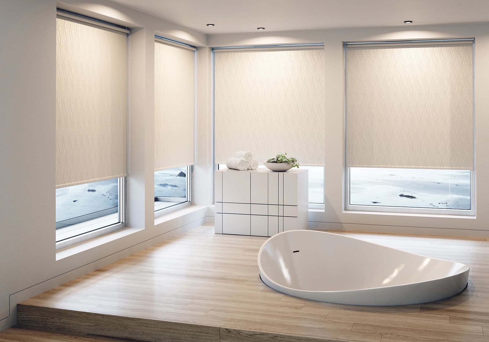 Window Treatments