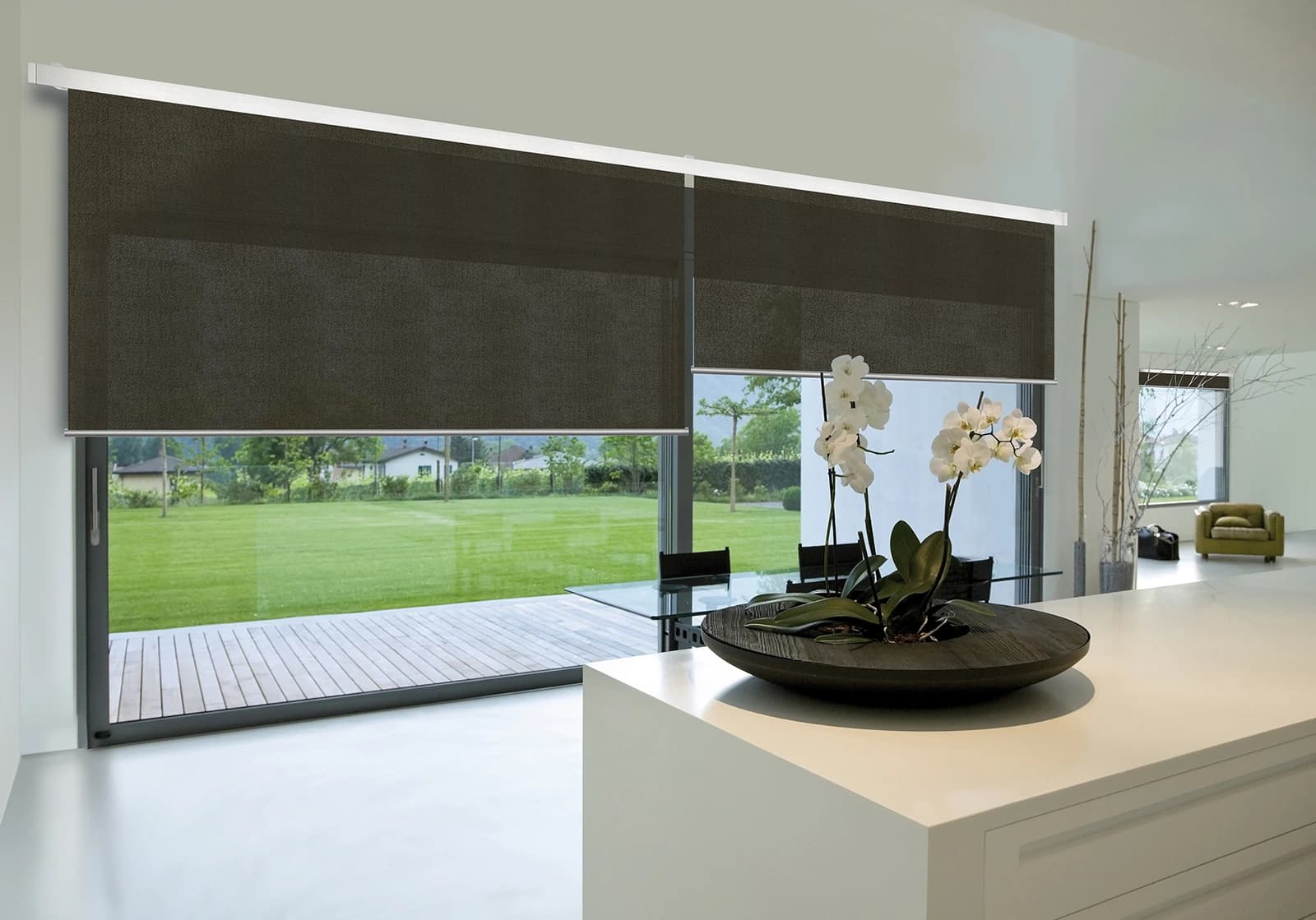Window Treatments
