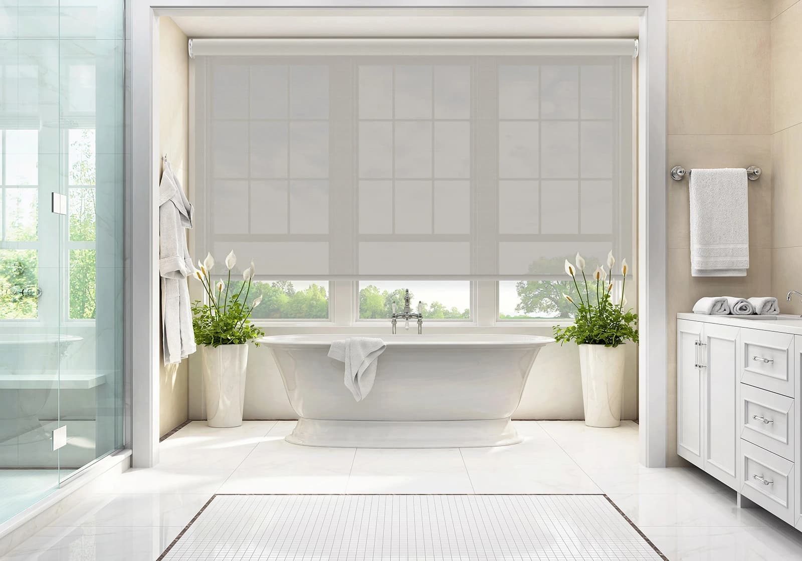 Window Treatments
