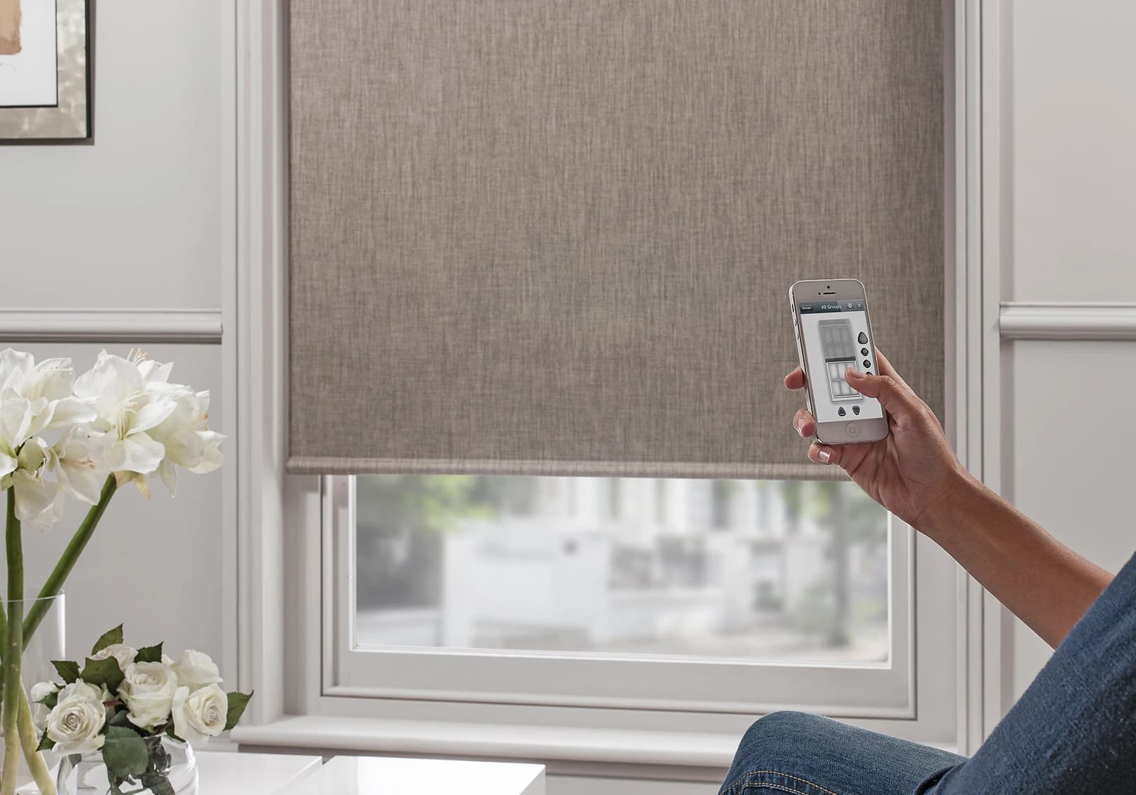 Window Treatments